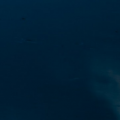 7545397